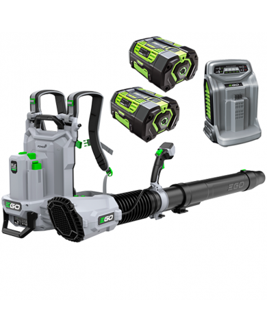SOPRADOR COSTAS LBP8000E EGO