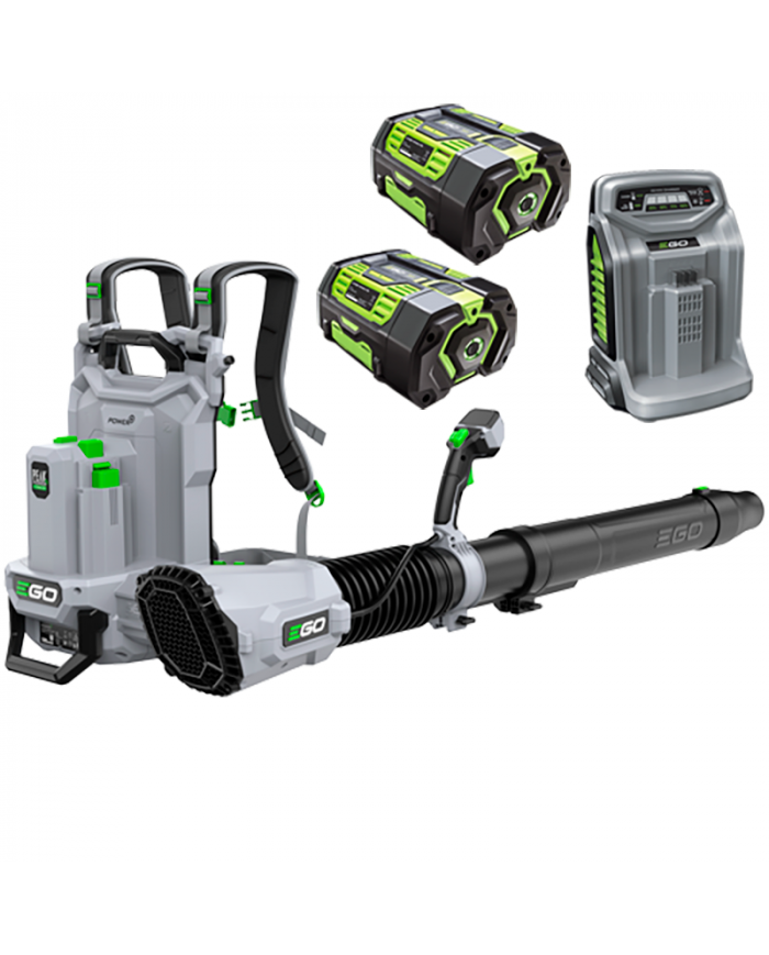 SOPRADOR COSTAS LBP8000E EGO